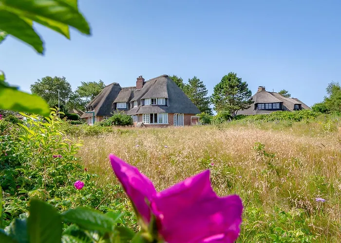 Dietz Hues Casa de Férias